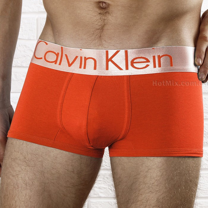 Комплект белья боксеры/хипсы Calvin Klein 48 - фото №2