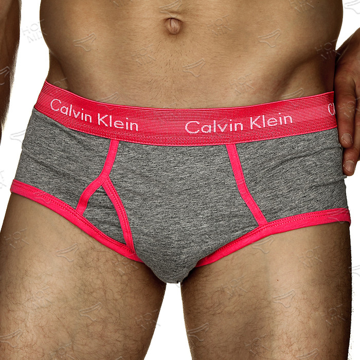 Мужские трусы брифы Calvin Klein 365 Grey Brief