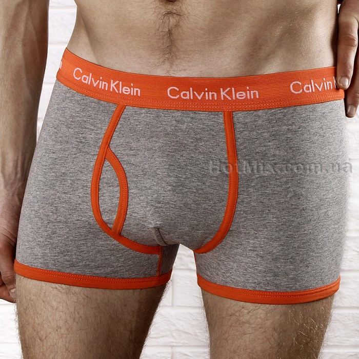 Комплект белья боксеры/хипсы Calvin Klein 34 - фото №4