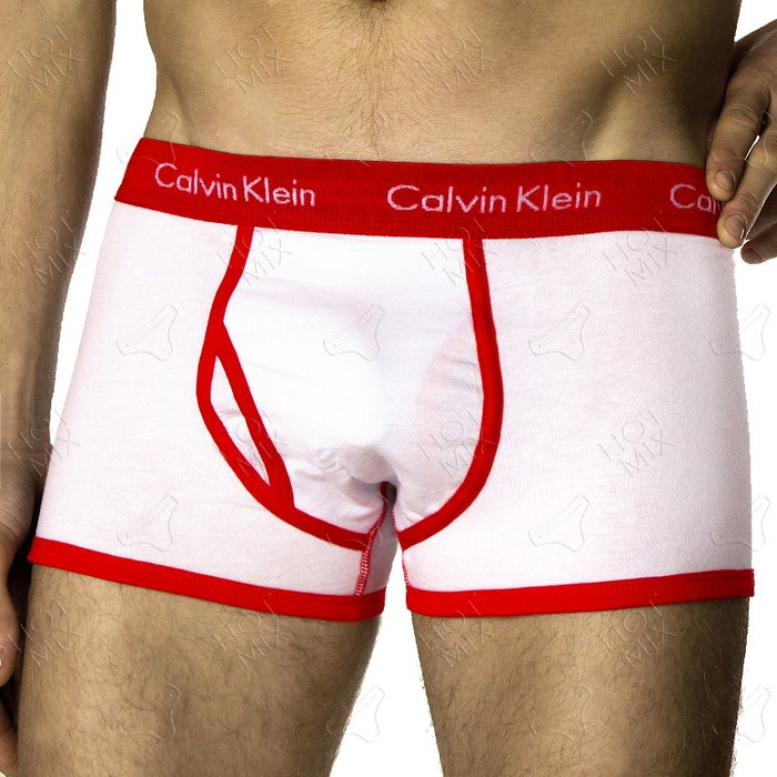 Комплект белья боксеры/хипсы Calvin Klein 36 - фото №3