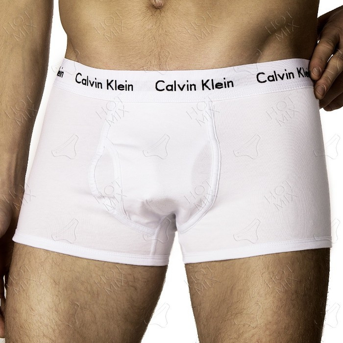 Комплект белья боксеры/хипсы Calvin Klein 38 - фото №6