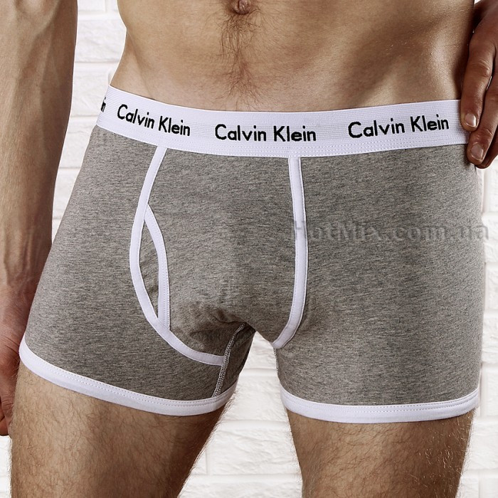 Комплект белья боксеры/хипсы Calvin Klein 38 - фото №10