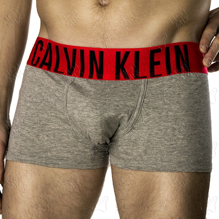 Мужские боксеры Calvin Klein Intense Power серые красная резинка