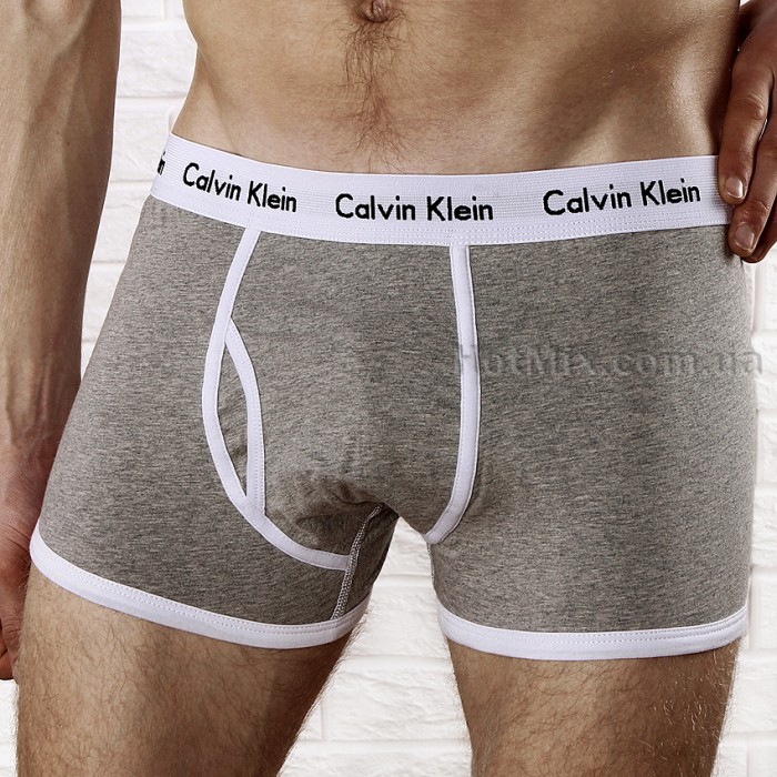 Мужские боксеры Calvin Klein 365 Серые белый кант
