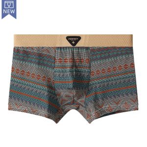 undefined Мужские трусы боксеры PH Орнамент green undefined